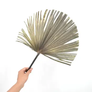 1TK Palm Fänn Päevalille Lehed Naturaalne Kuivatatud Palm Leaf Fänn Taim DIY Poole Kunst Seina Riputamise Pulm Teenetemärgid
