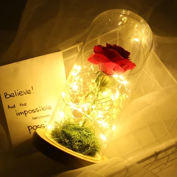 Klaasist Kuppel jõulukink Pulm Kodu Sisekujunduses LED Galaxy Riie Sammal Roos Haldjas String Tuled