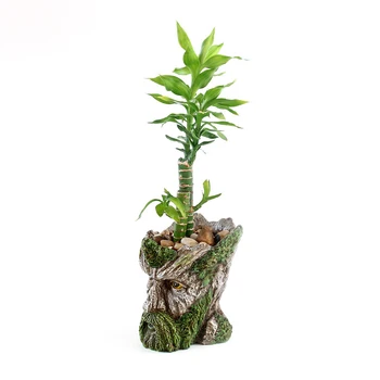 Mehe Nägu puutüvi Pot Treeman Lill Planter Roheline Habe Dekoratiivsed Vaik lillepotis Aed Taim JDH88