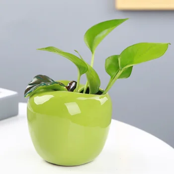 Mini Vaasid Teenetemärgi Pottidesse Keraamiline Lillepoti Siseruumides Office Õues Kodus Rohelised Taimed
