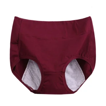 Naiste Pesu on Seksikas Aluspüksid menstruatsioon Calcinha Feminina Veekindel Püksikud Ropa Salongi XL-6XL Uued tooted