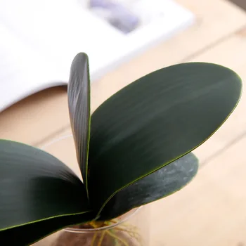 Simulatsioon Orhidee Kunstlik Taimed Võltsitud Jätab Fotograafia Töötajad Kodu Kaunistamine